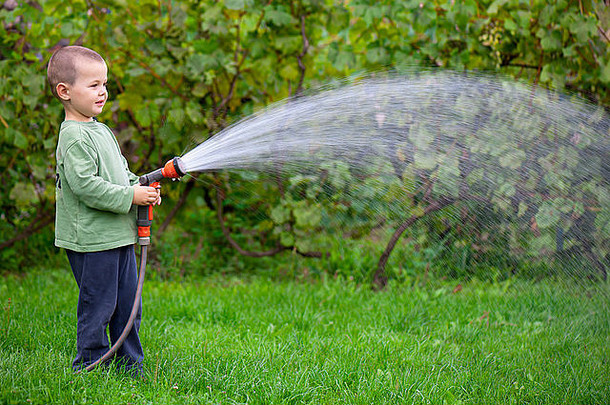 男孩浇水草