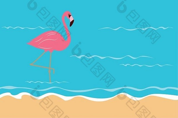 海滩上粉红色的热带火烈鸟