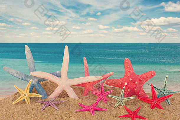 沙滩上的三只海星