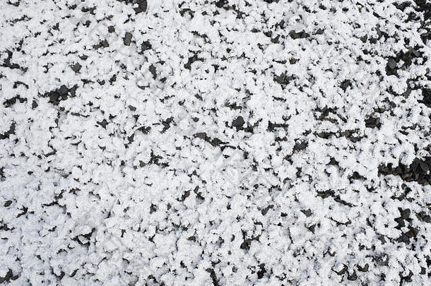 砾石上的雪-70%白色，30%黑色。中等纹理背景，<strong>不添加</strong>颜色