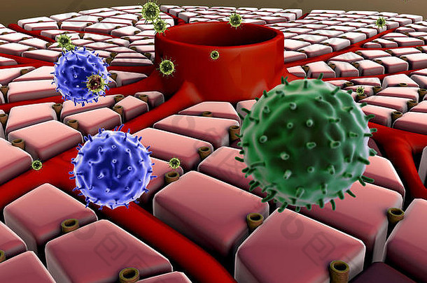 病毒攻击细胞、肝病、病毒攻击肺部、感染细胞的过程