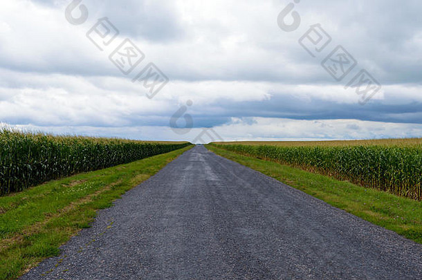 沥青路通向地平线。两边都是玉米地。