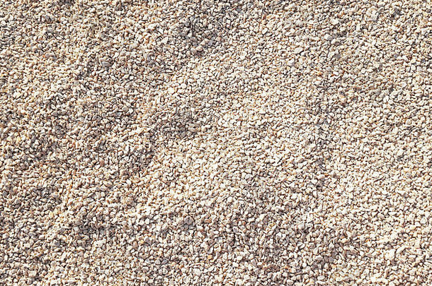 天然米色细砾石表面。天然卵石背景