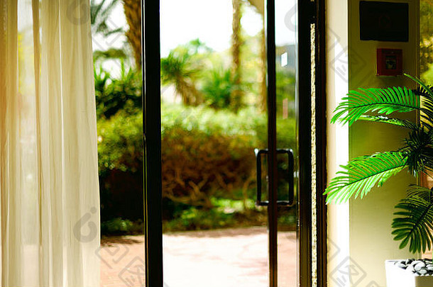 热带景观背景。暑期、旅游、度假、度假概念。打开窗户、门和白色窗帘，从酒店可以看到模糊的棕榈园景色。外来植物在阳光明媚的日子里，空间。