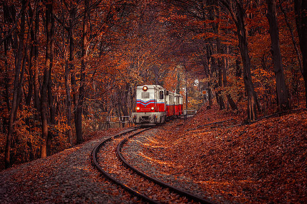 红色的白色柴油火车未来秋天森林布达佩斯美丽的颜色下降叶子背景复古的风格图像