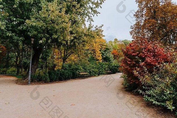 波兰华沙多彩的秋季公园