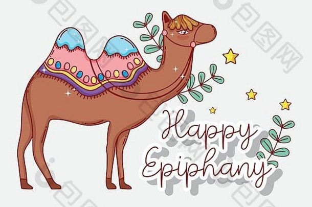 骆驼动物分支机构叶子主显节庆祝活动