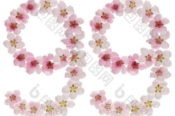 数字99，99，来自桃树的天然粉色花朵，在白色背景上分离