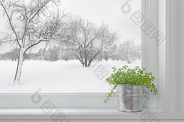 透过窗户可以看到冬天的景色，窗台上的绿色植物。
