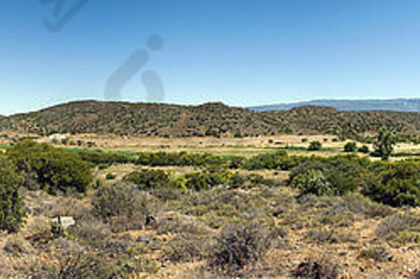 2007年南非东开普省Ladismith，卡鲁景观，显示特色丘陵或露头