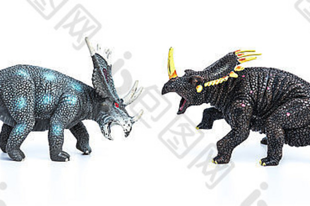 白色背景上的styracosaurus和三角龙玩具