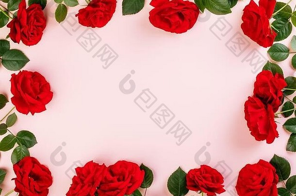 新鲜的红玫瑰背景和文本或装饰的空间。俯视图，平面布置。