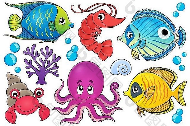 珊瑚动物主题图片1-图片插图。