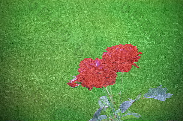 抽象美丽的<strong>玫瑰画</strong>在刮花的画布上