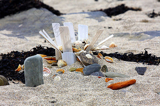 海滩上排列在塑料盒中的贝壳