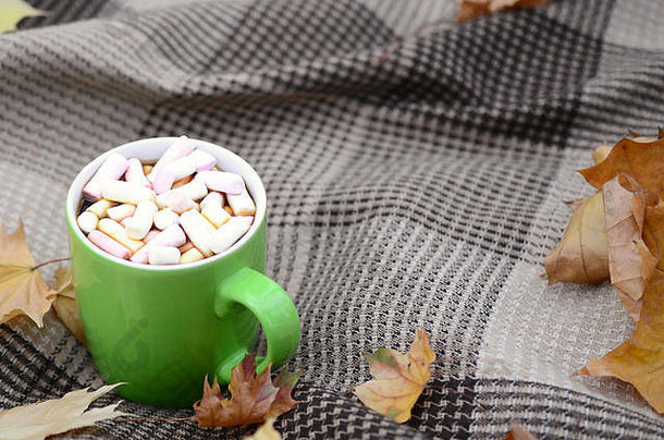 秋天叶子热热气腾腾的杯咖啡谎言网纹格子在户外秋天时间概念大气情绪作文