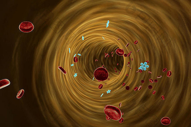 红细胞胰岛素内部血船白色血细胞白色血细胞内部血船高质量渲染血细胞