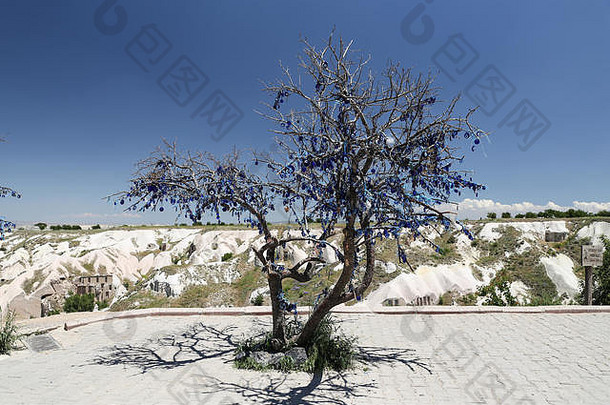 土耳其卡帕多西亚乌希萨尔的眼珠树