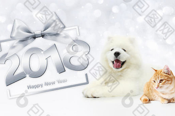 动物新年快乐概念，带礼品盒框架和银缎带蝴蝶结的猫和狗