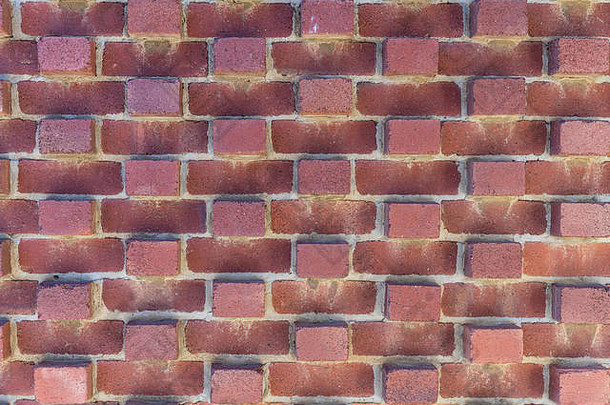 霍巴特澳大利亚3月塔斯马尼亚特写镜头部分红色的砖墙显示模式突出的砖