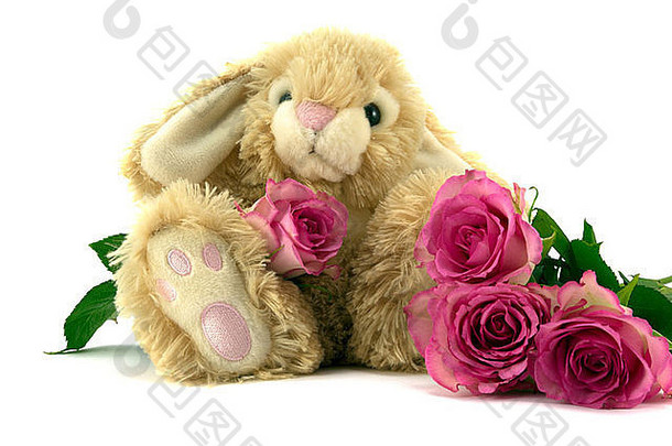 可爱的毛茸茸的小兔子，带玫瑰花束