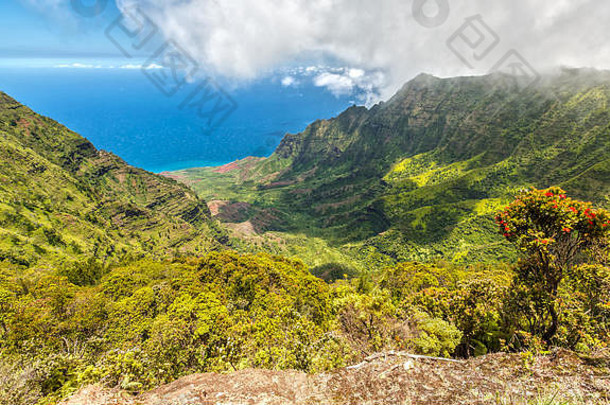 夏威夷考艾岛卡拉劳谷全景图