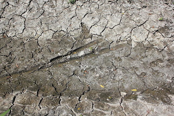 伊利诺伊州芝加哥库克县森林保护区发现的严重干燥、开裂、波纹状泥和泥裂缝。