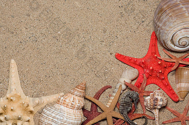 海滩上的海星和贝壳，度假的回忆