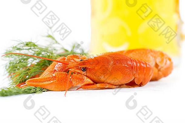 美味的煮熟的未剥皮的王虾小龙虾用钉子钉上新鲜的莳萝白色背景