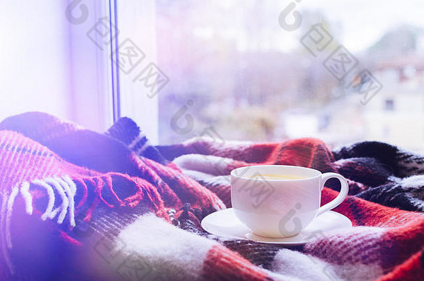 一杯柠檬茶和温暖的羊毛毯放在窗台上。雨天的热饮。潮格概念，秋意。舒适的冬天早晨在家里。温暖的