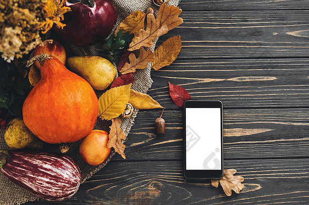 电话空屏幕美丽的南瓜明亮的秋天叶子橡子坚果浆果木乡村表格平躺空间文本问候