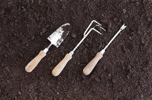 从俯视图看，三个园艺工具以一定角度放置在肥沃的黑土中