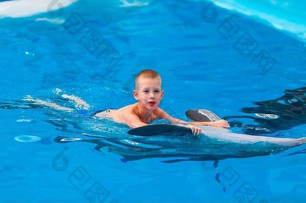 快乐男孩游泳海豚海豚馆游泳洗澡沟通海豚