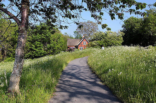 丹麦博恩霍姆，田园诗般的度假别墅，四周是鲜花盛开的草地