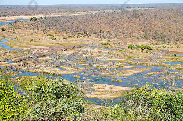 南非国家克公园<strong>野生动植物</strong>水草和树木