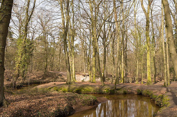荷兰Geijsteren庄园弯道处的小溪Oostrumse Beek