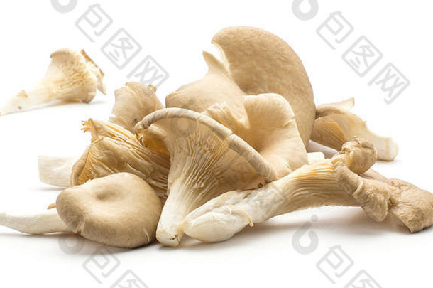 牡蛎蘑菇（平菇菌类套装）在白色背景上分离，生食