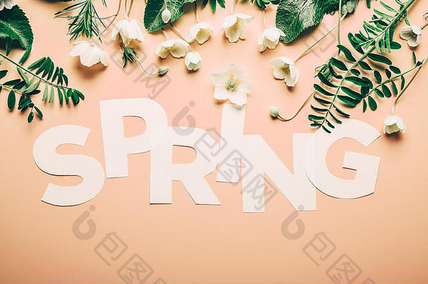 有创意的布局登记春天花叶子粉红色的背景平躺极简主义