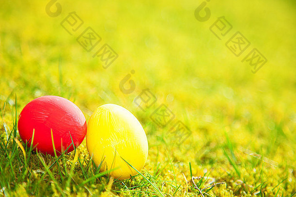 色彩斑斓的复活节鸡蛋绿色草地