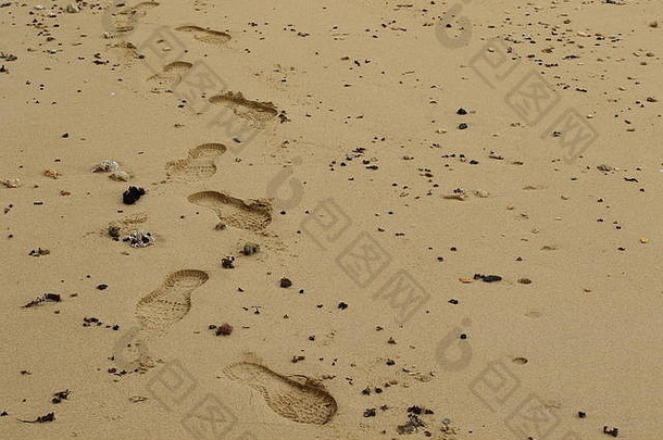 沙滩上湿沙上的人类脚印与空间