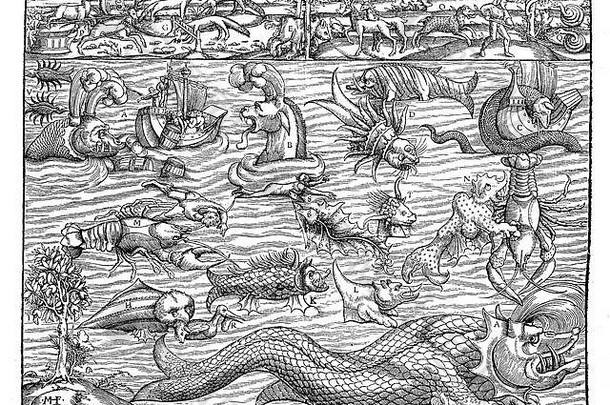约1550年，中世纪描绘了多种形式的海洋怪物，包括海龙和海蛇