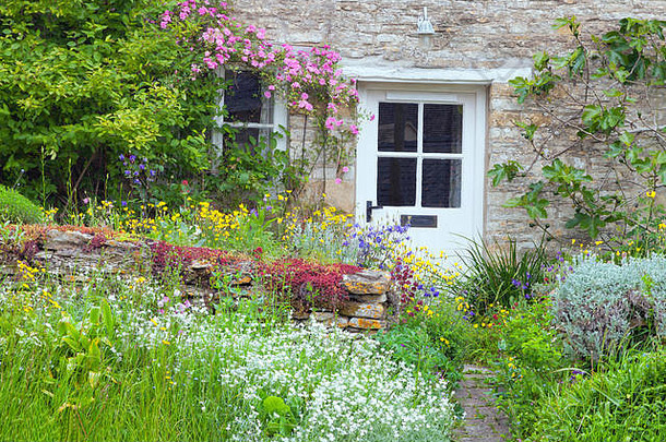 白色木门迷人的英语国家小屋前面花园完整的花布鲁姆粉红色的玫瑰无花果树攀爬石头墙