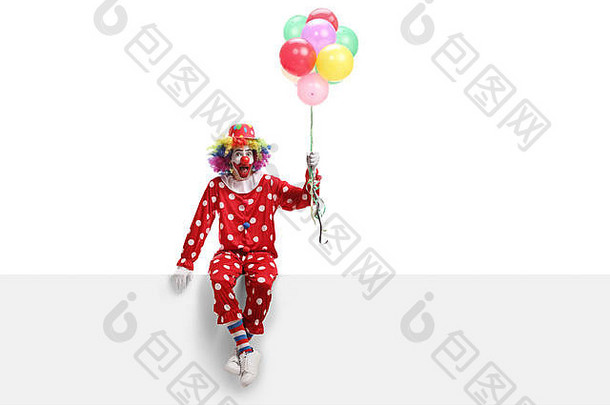 完整的长度拍摄快乐的小丑坐着白色横幅持有群气球孤立的白色背景
