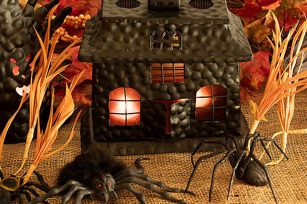 可怕的房子和树，蜘蛛，老鼠和可怕的角色