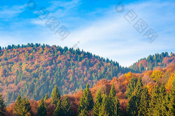 秋天的山景。格拉帕山，意大利阿尔卑斯山