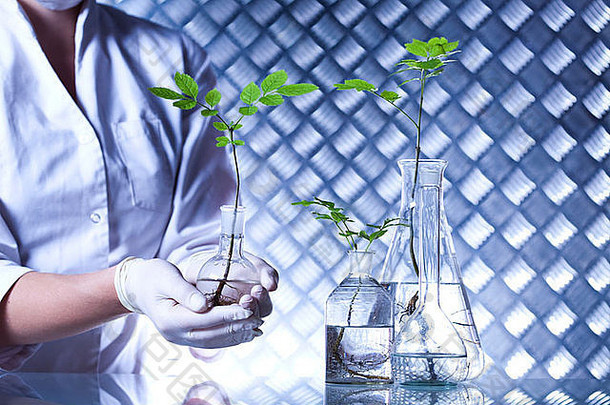 化学设备<strong>植物实验</strong>室玻璃器皿