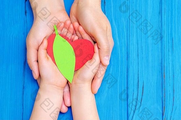 木制蓝色背景上，男人和女孩手中拿着红心的绿叶俯视图。拯救世界，热爱自然的<strong>地球</strong>理念。