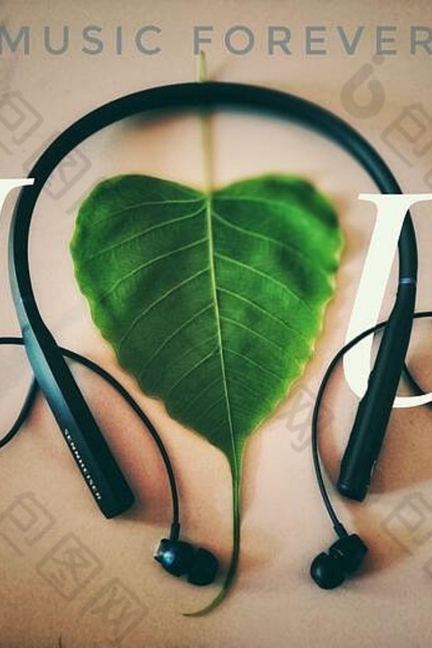 一片心形的叶子在耳机的侧面，显示出对音乐的热爱。我爱你的音乐