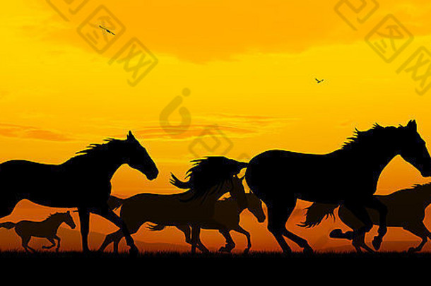 日落背景上奔跑的马匹剪影插图