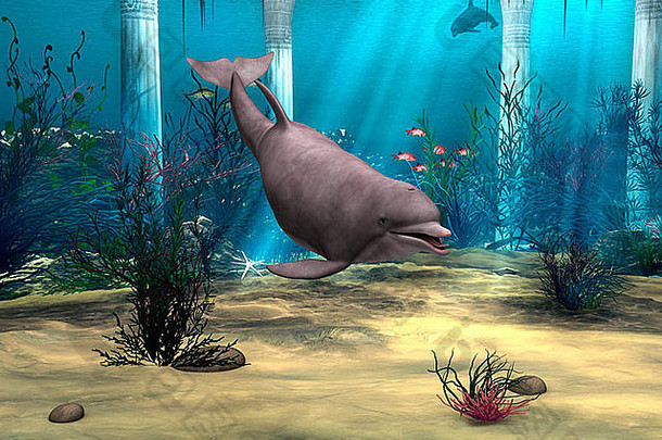 数字渲染可爱的海豚蓝色的幻想海洋背景